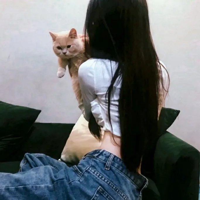 傲骨贤妻第四季